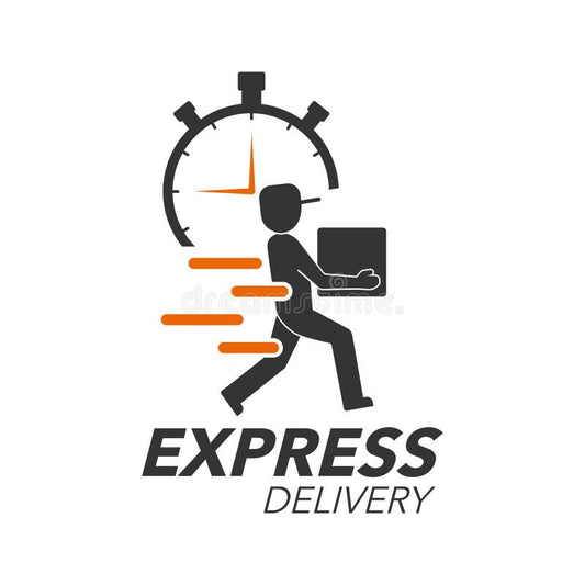 Despacho Prioritario + Seguro